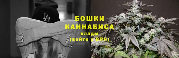 индика Краснотурьинск