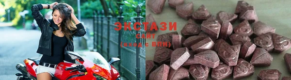 индика Краснотурьинск