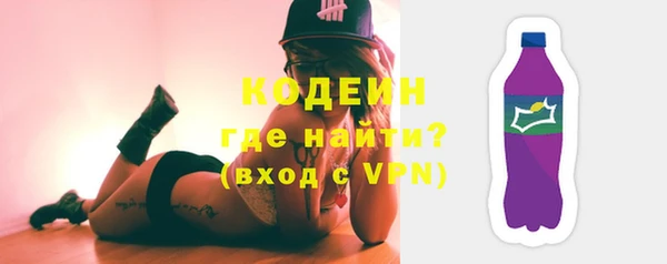 индика Краснотурьинск