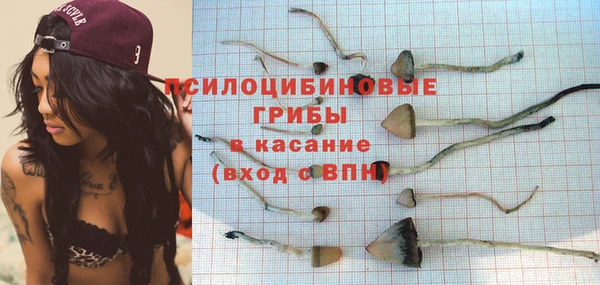 кристаллы Краснослободск