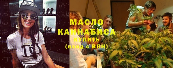 индика Краснотурьинск