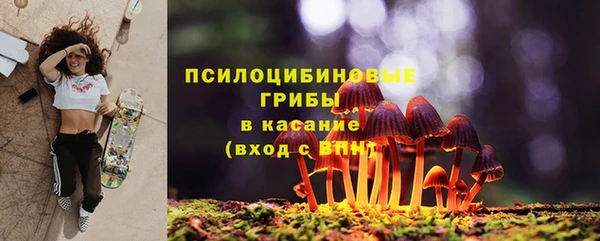 тгк Кодинск