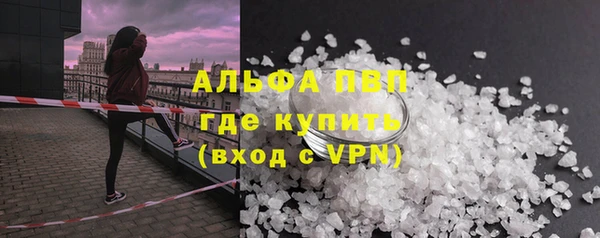 индика Краснотурьинск